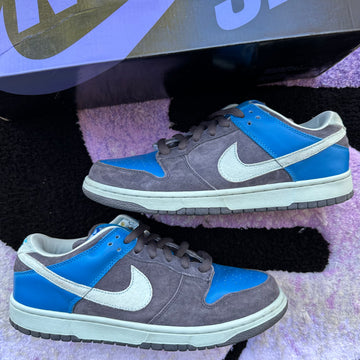 Nike Sb Dunk Low 