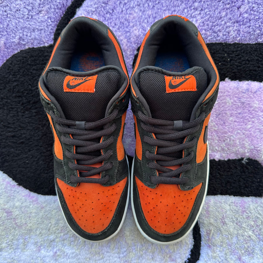 Nike Sb Dunk Low 