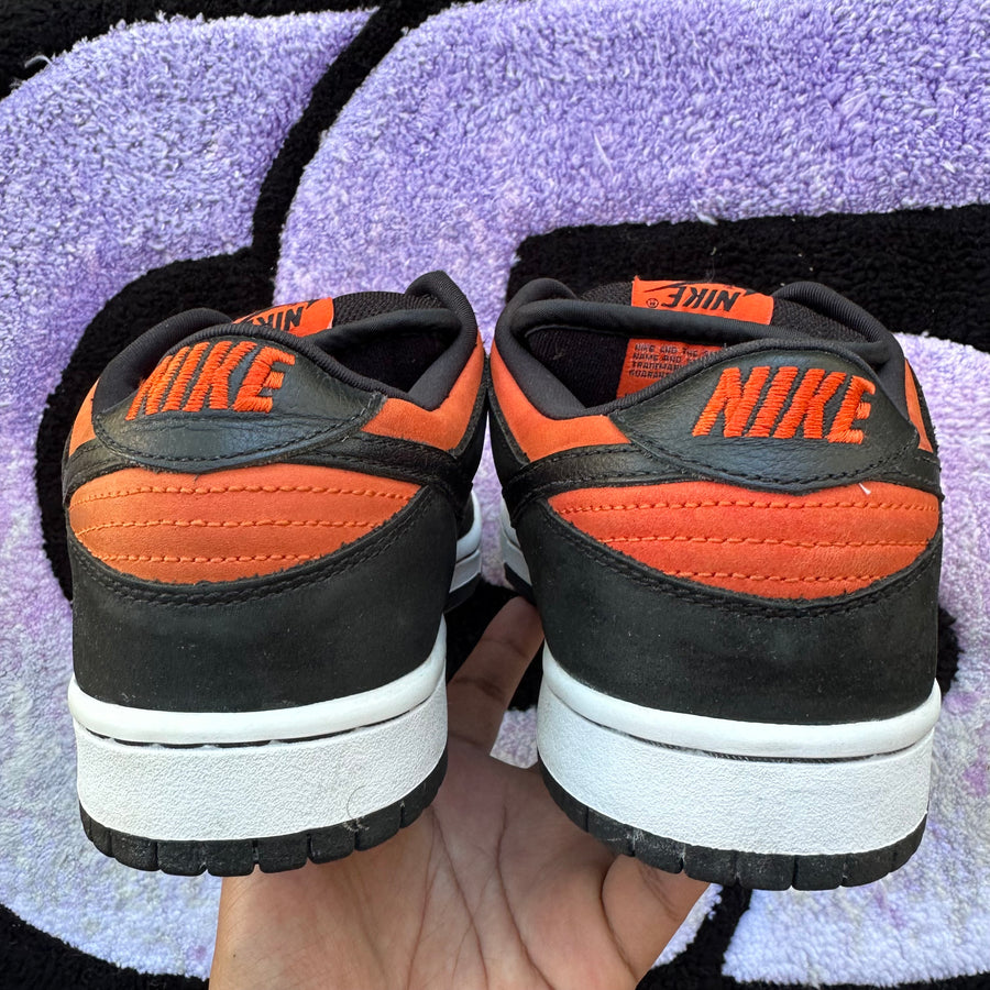 Nike Sb Dunk Low 