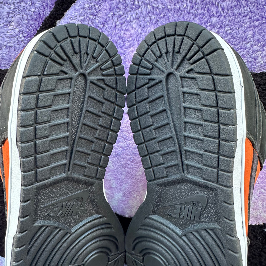 Nike Sb Dunk Low 