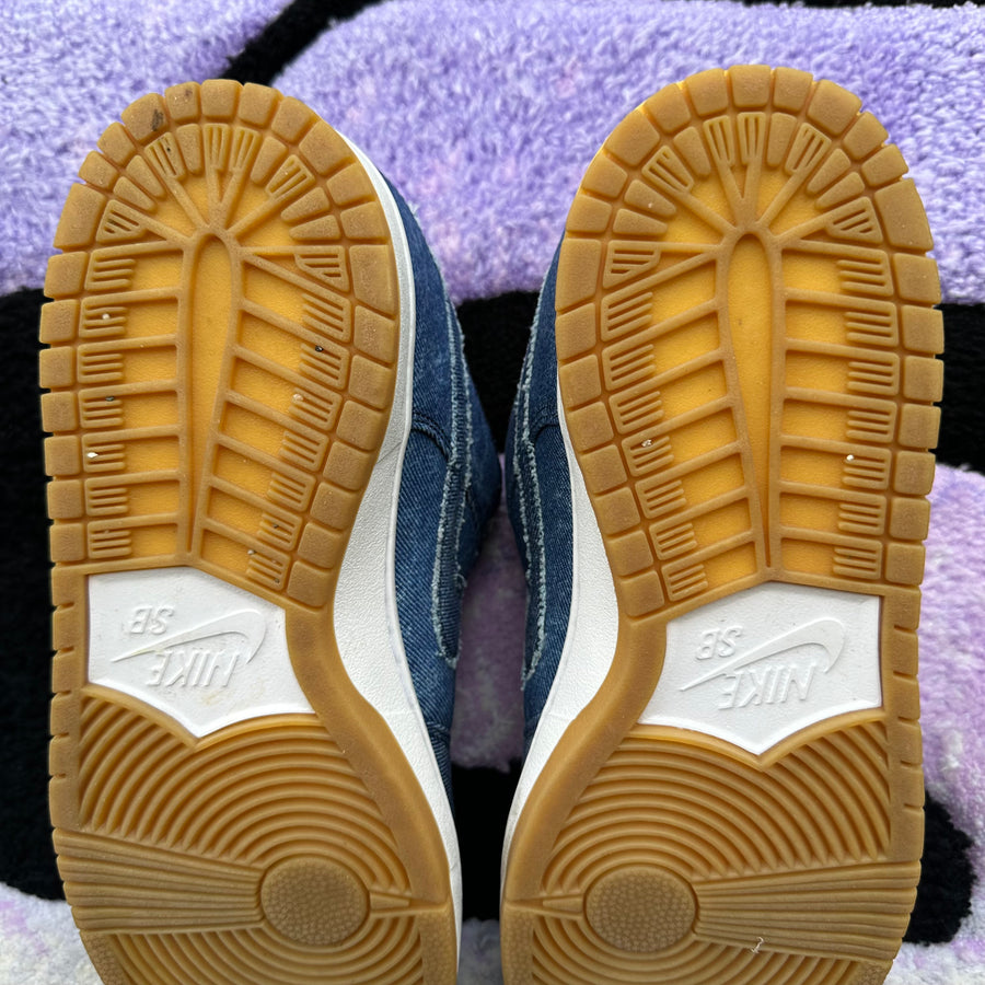 Nike Sb Dunk Low 