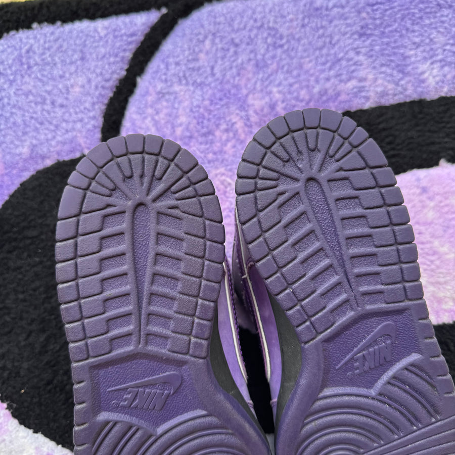 Nike Sb Dunk Low 