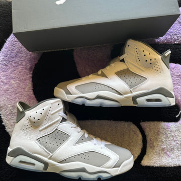 Air Jordan 6 
