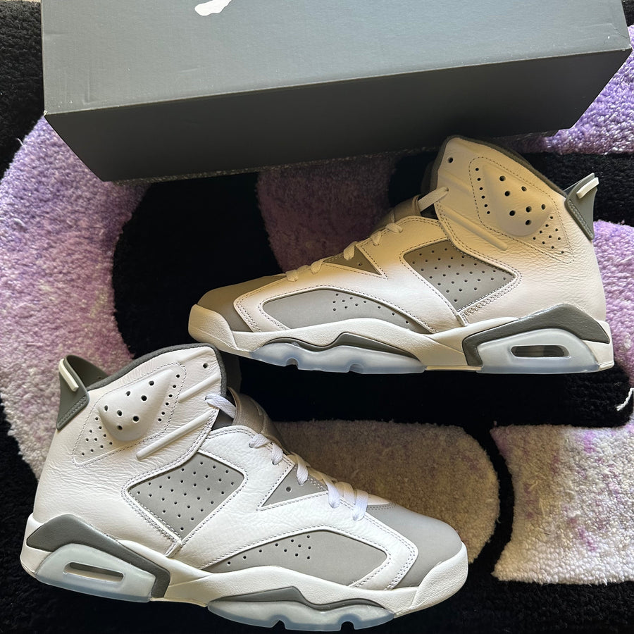 Air Jordan 6 