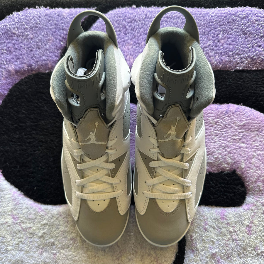 Air Jordan 6 