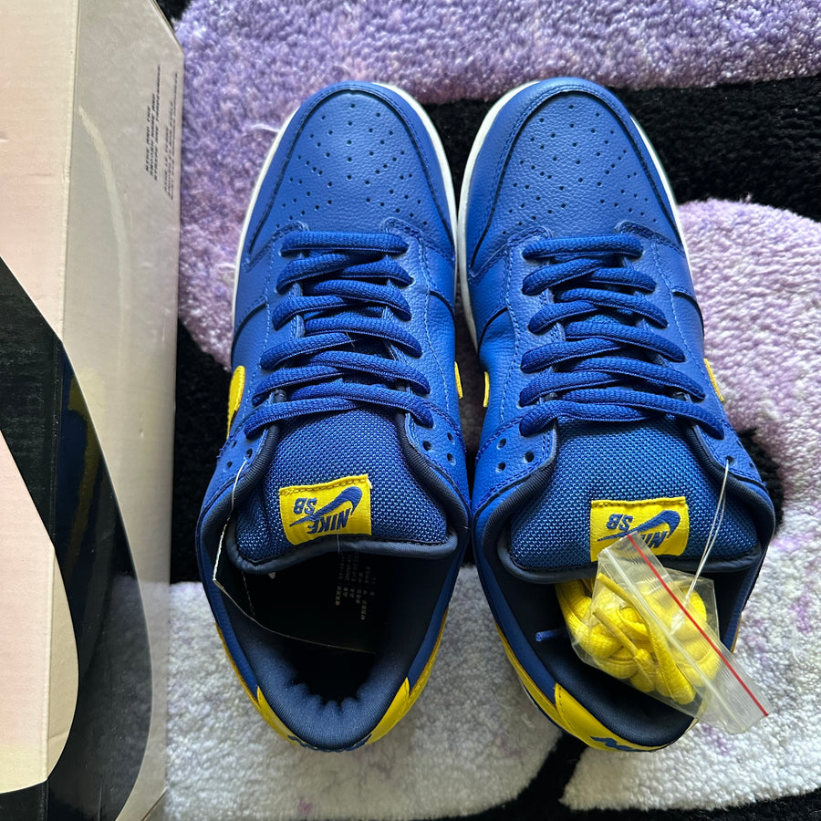 Nike Sb Dunk Low 