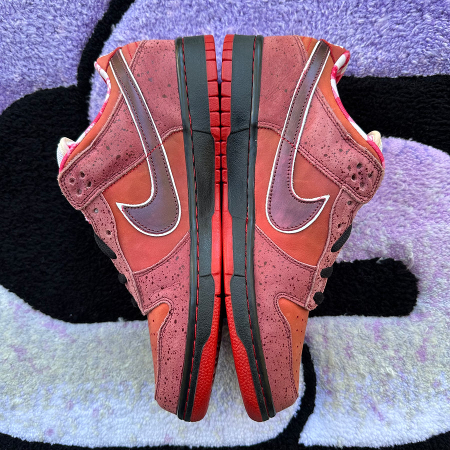Nike Sb Dunk Low 