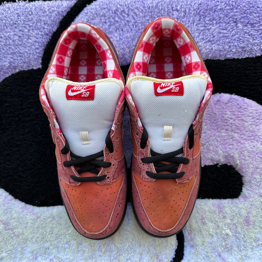 Nike Sb Dunk Low 