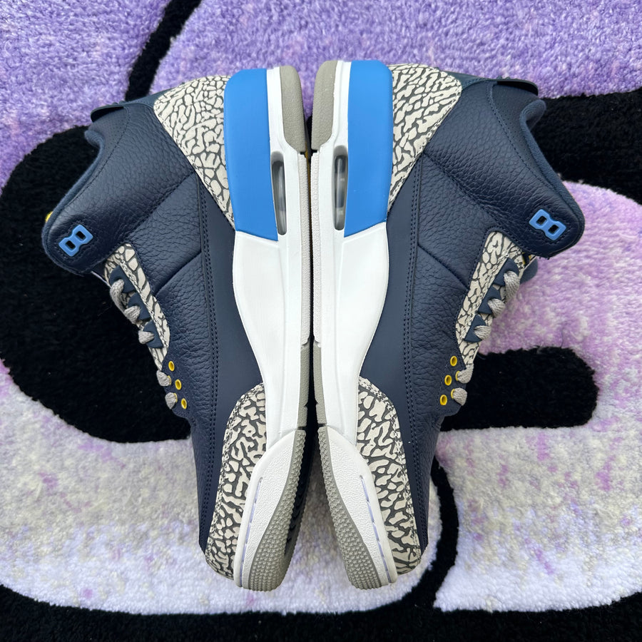 Air Jordan 3 P.E 