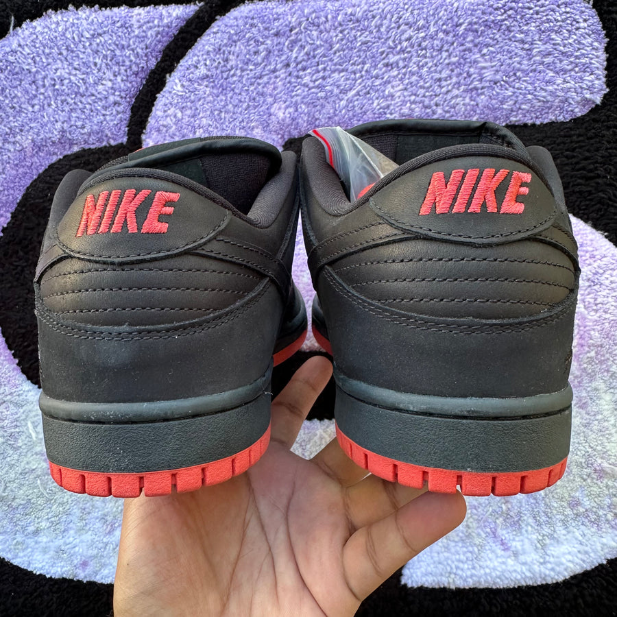 Nike Sb Dunk Low 