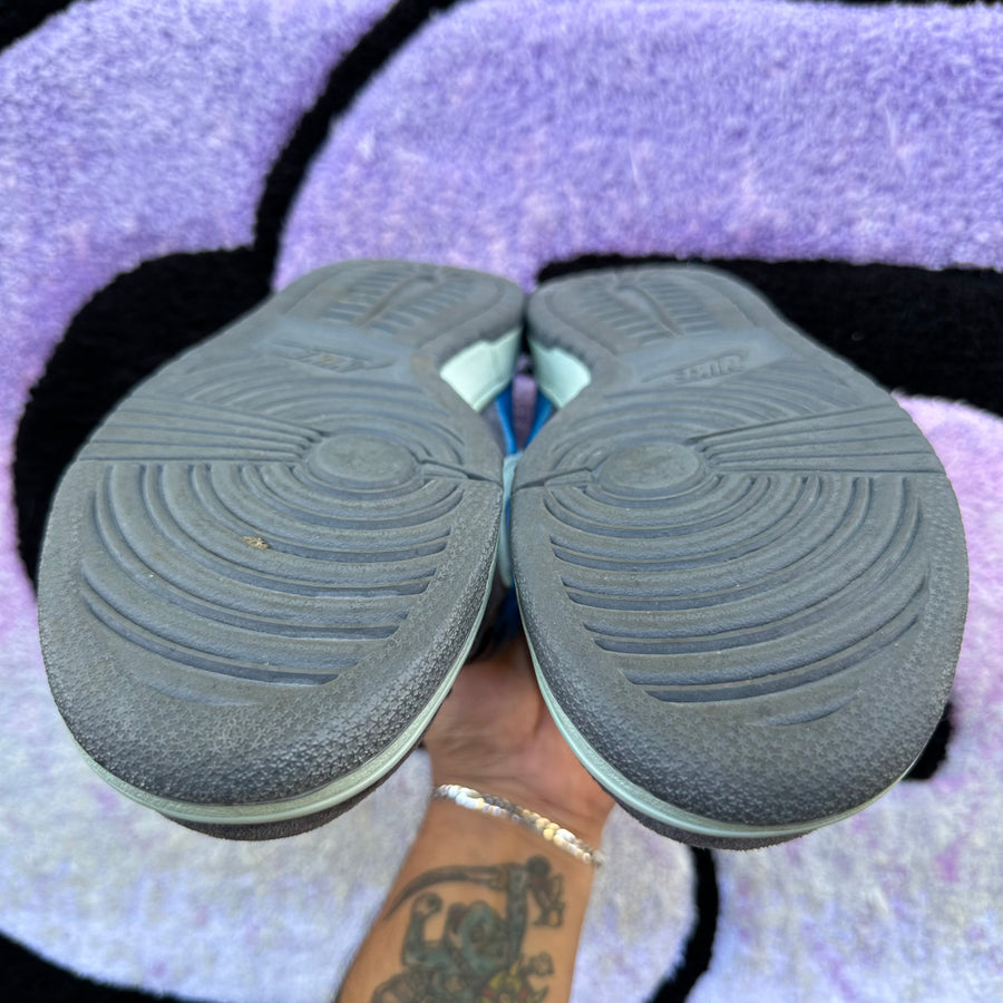 Nike Sb Dunk Low 
