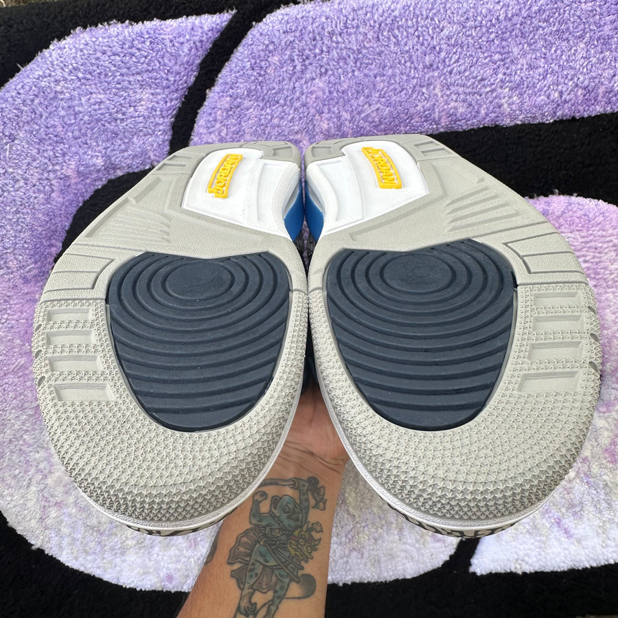 Air Jordan 3 P.E 