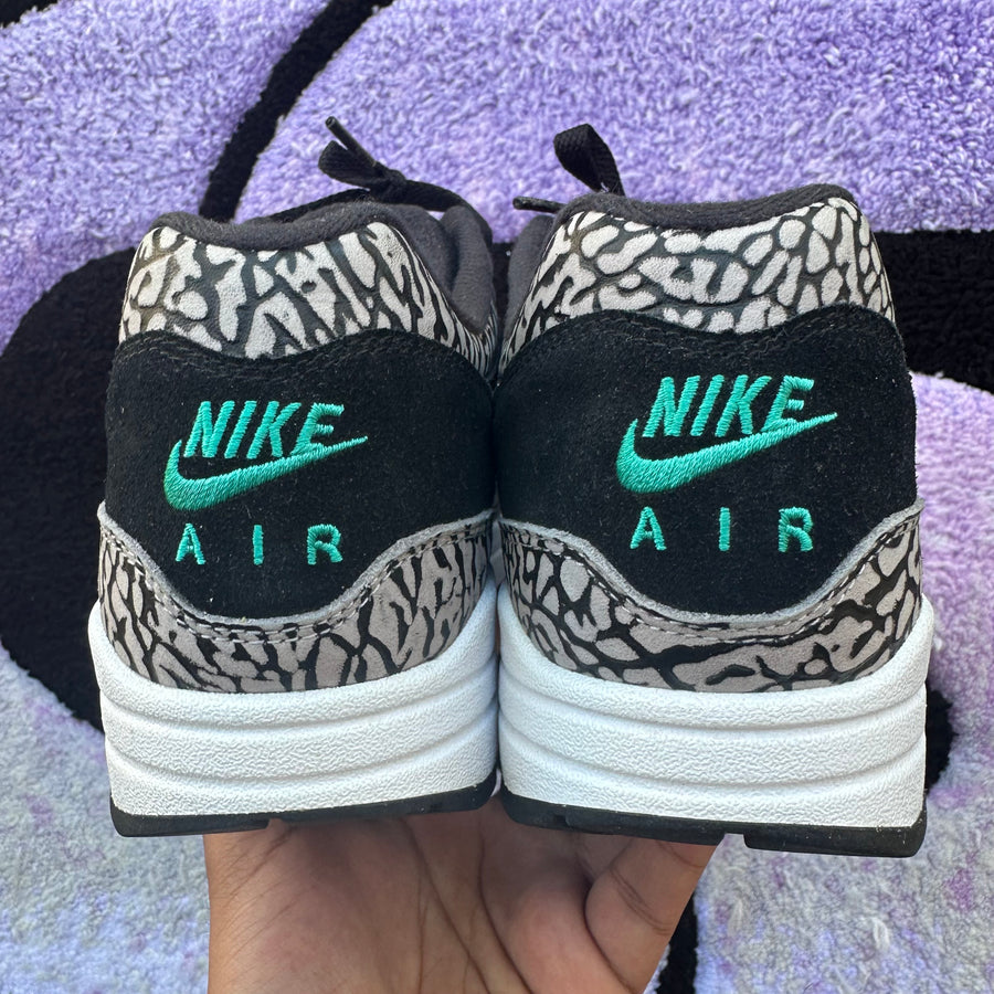 Nike Air Max 1 