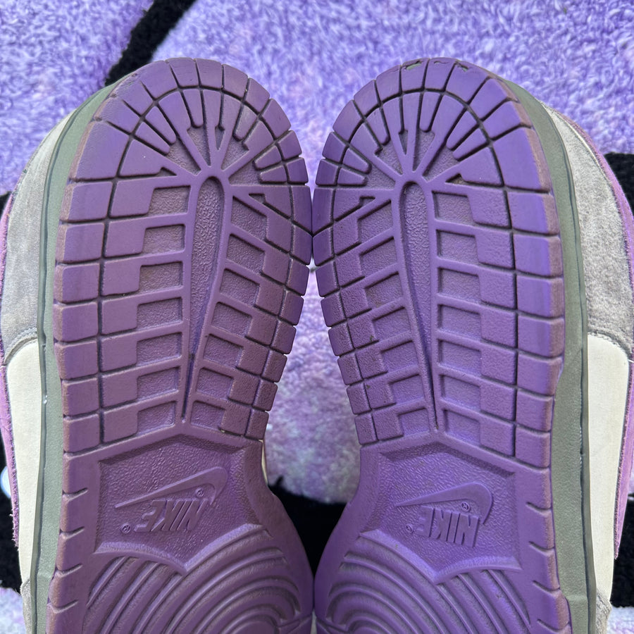 Nike Sb Dunk Low 