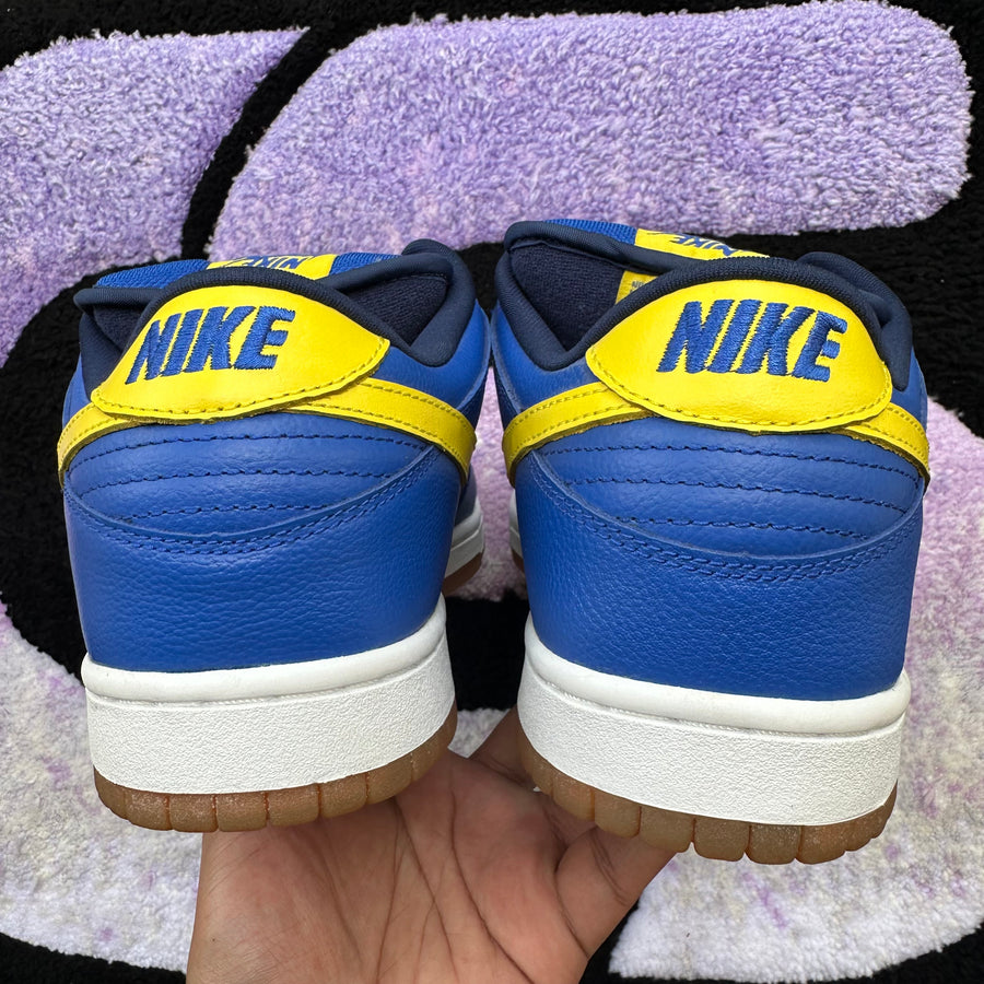 Nike Sb Dunk Low 