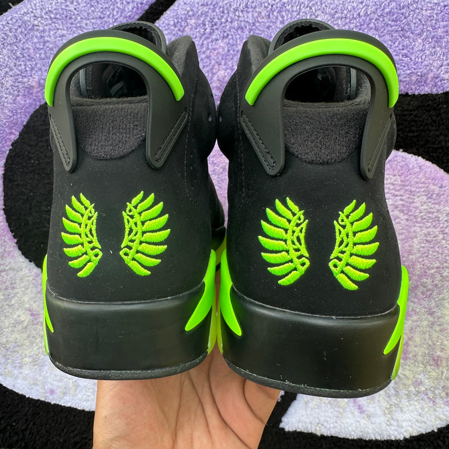 Air Jordan 6 P.E 
