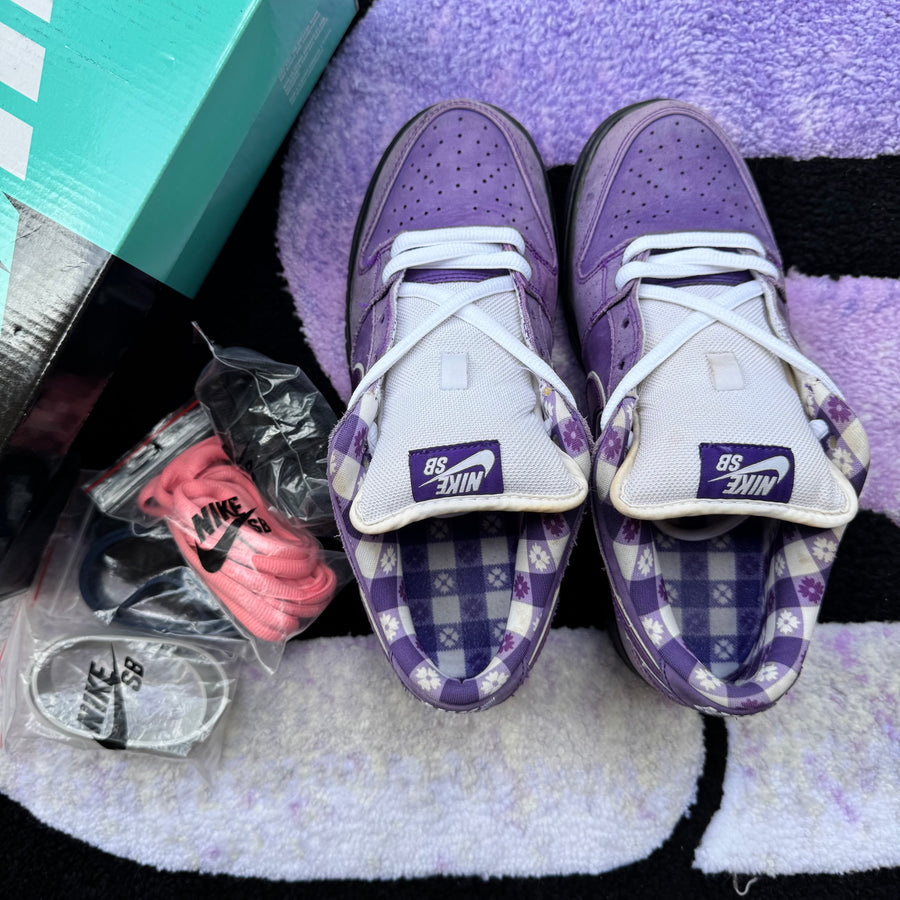 Nike Sb Dunk Low 
