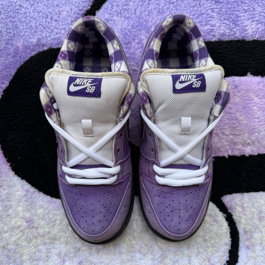 Nike Sb Dunk Low 