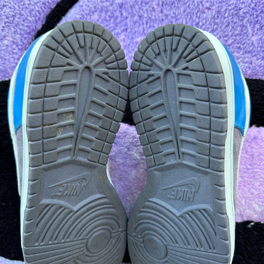 Nike Sb Dunk Low 