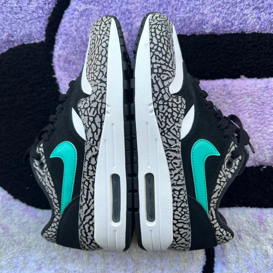 Nike Air Max 1 