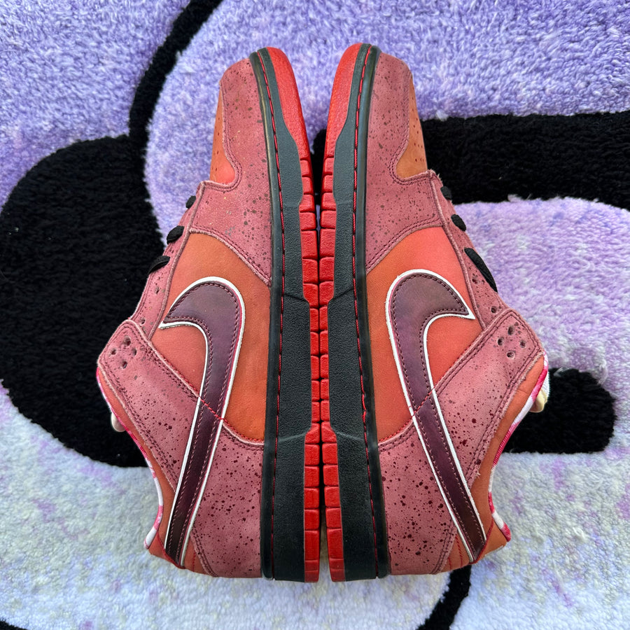 Nike Sb Dunk Low 