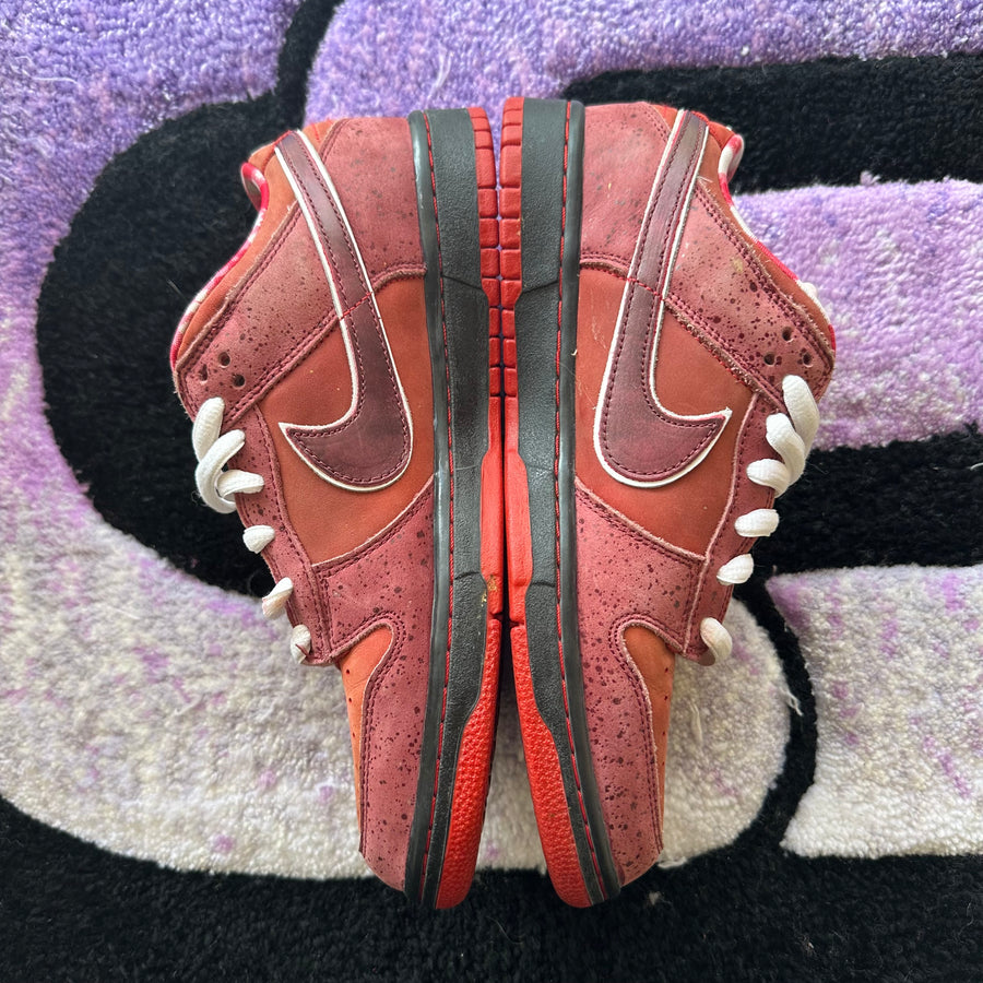 Nike Sb Dunk Low 