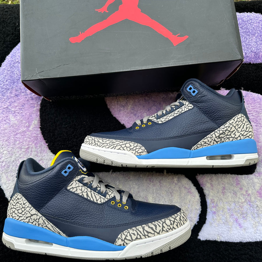 Air Jordan 3 P.E 