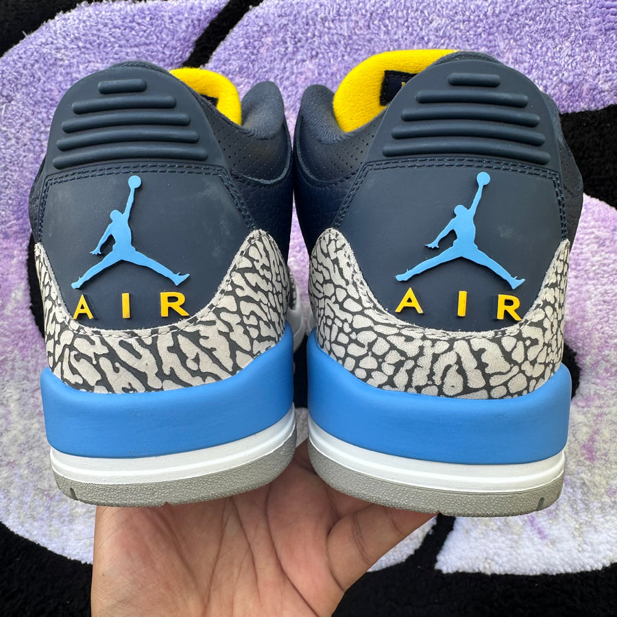 Air Jordan 3 P.E 