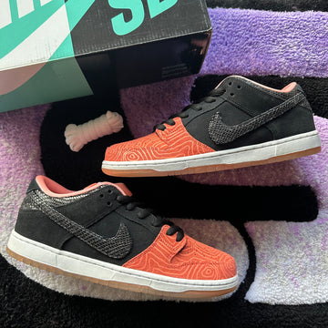 Nike Sb Dunk Low 