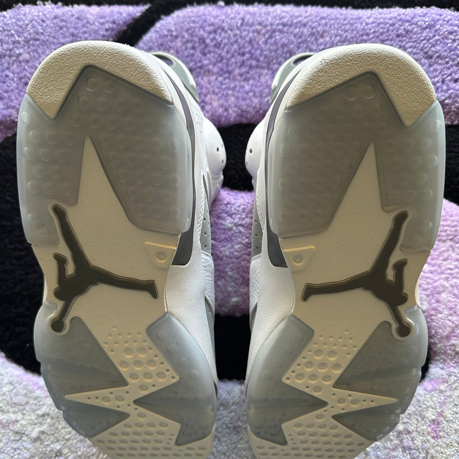 Air Jordan 6 