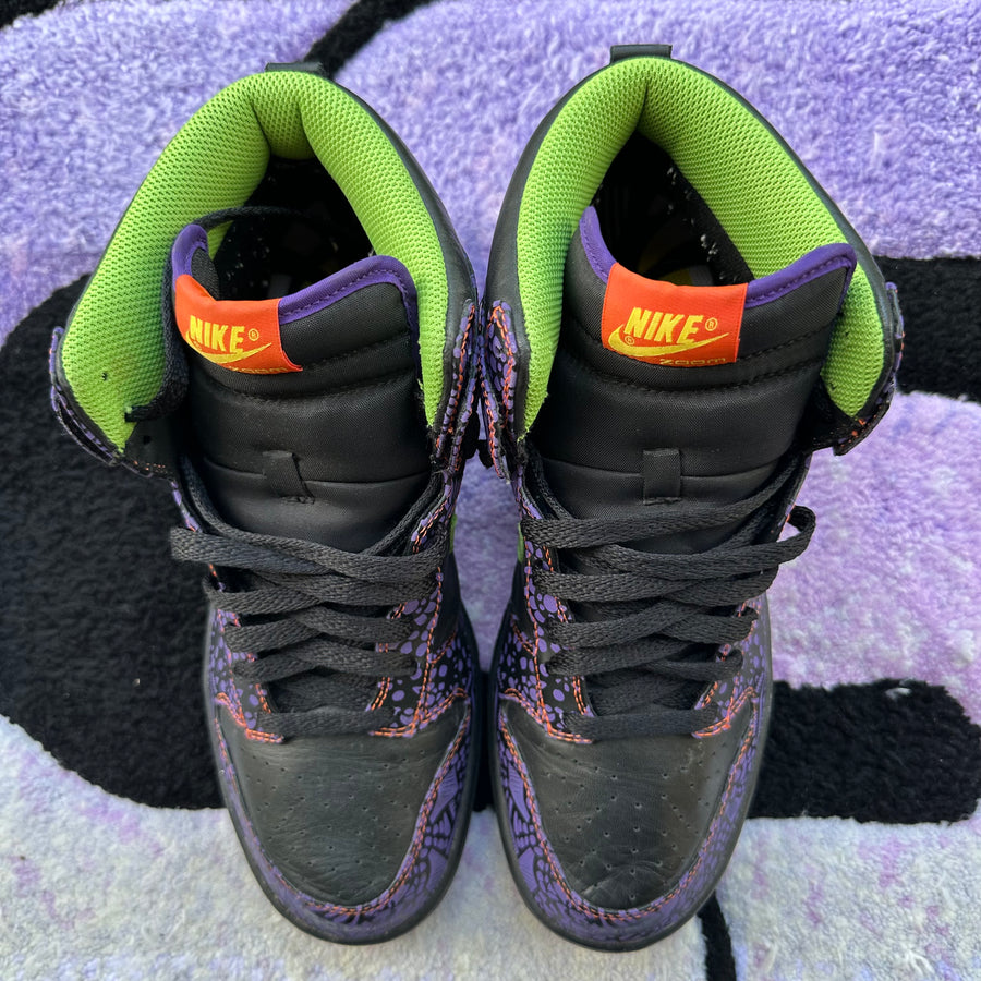 Nike Dunk High 