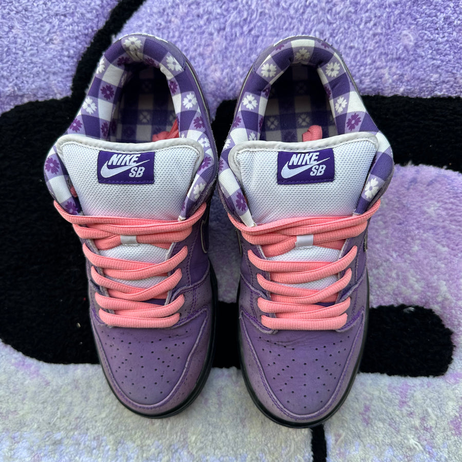 Nike Sb Dunk Low 