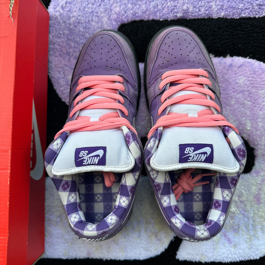 Nike Sb Dunk Low 