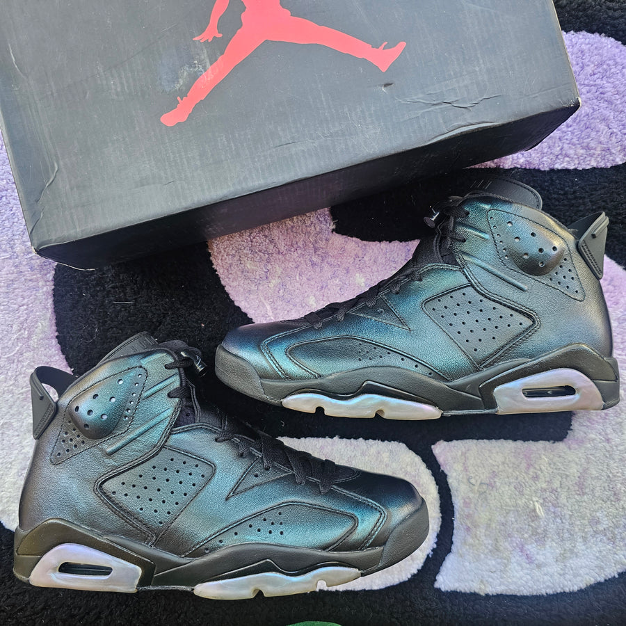 Air Jordan 6 “Chameleon”
Size 10