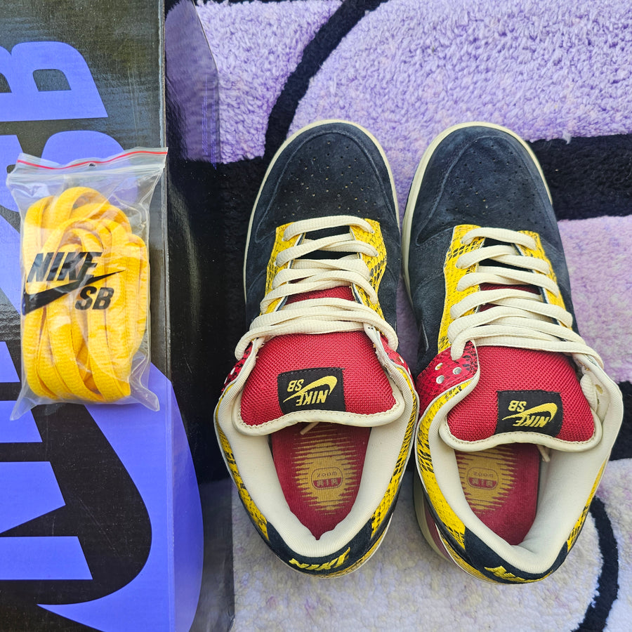 Nike Sb Low “Coral Snake” Size 9.5