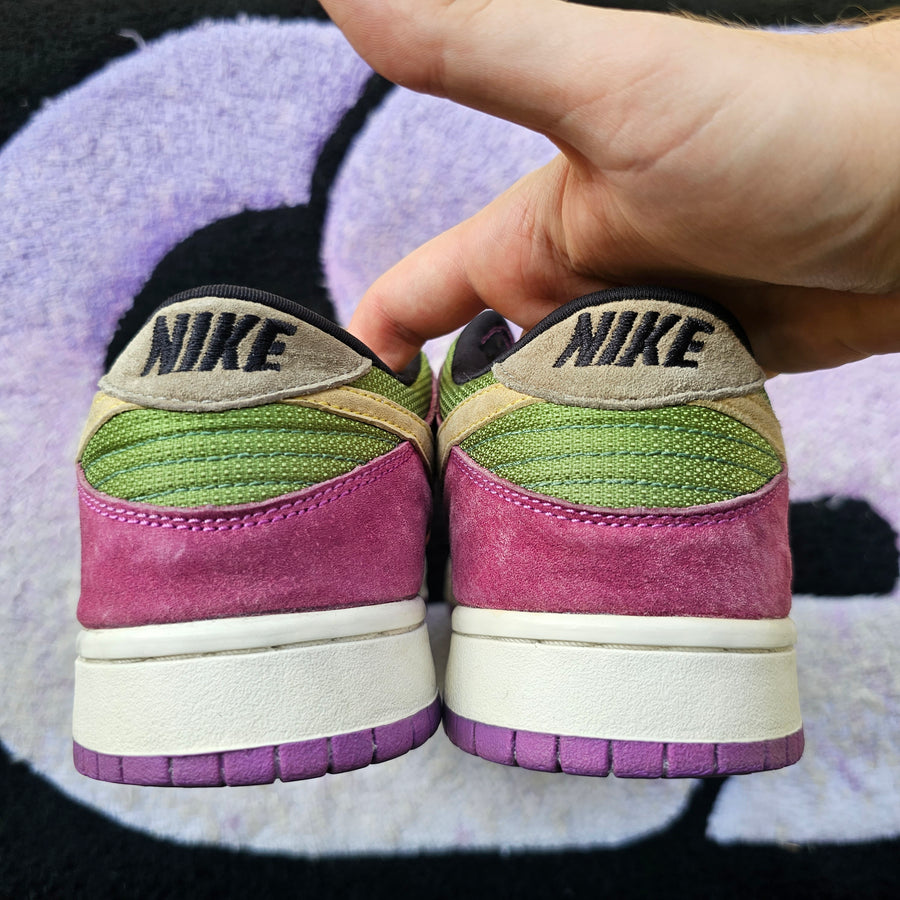 Nike Dunk Low Co.Jp “Viotech” Size 11