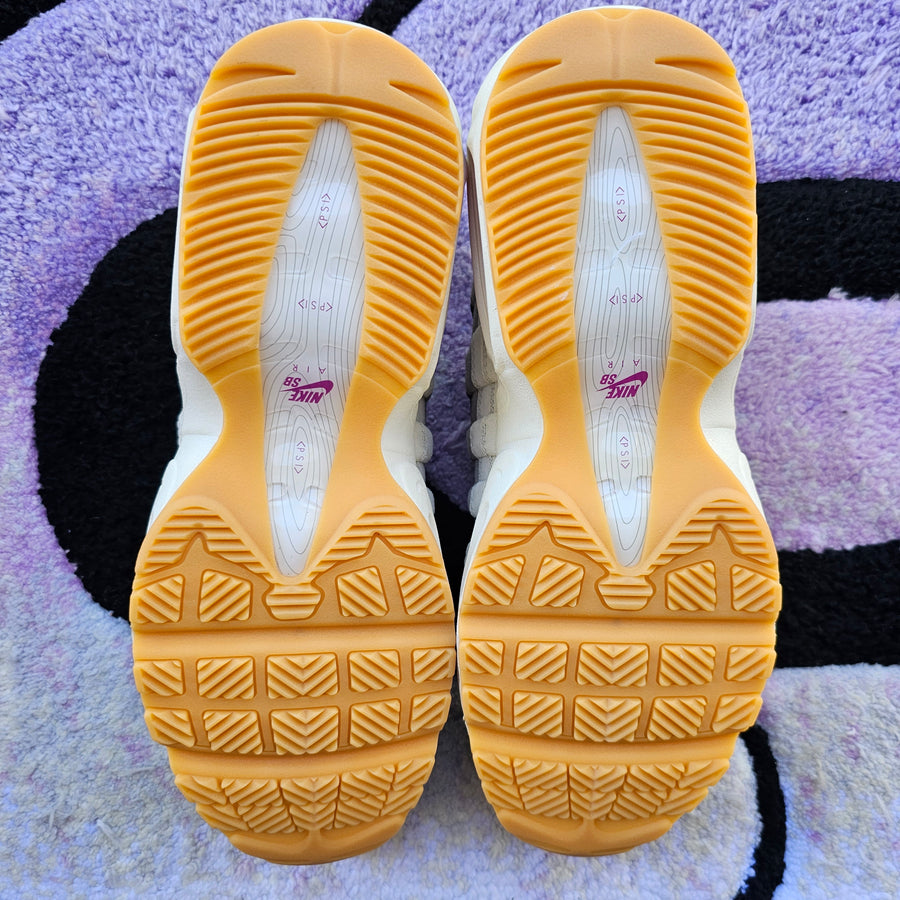 Nike AM95 SB “Cactus Flower” Size 10.5