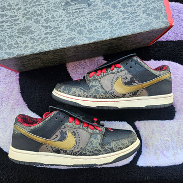 Nike Sb Low “SBTG” (Special Box) Size 11