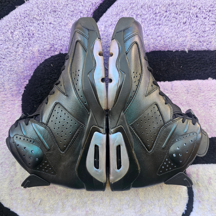 Air Jordan 6 “Chameleon”
Size 10