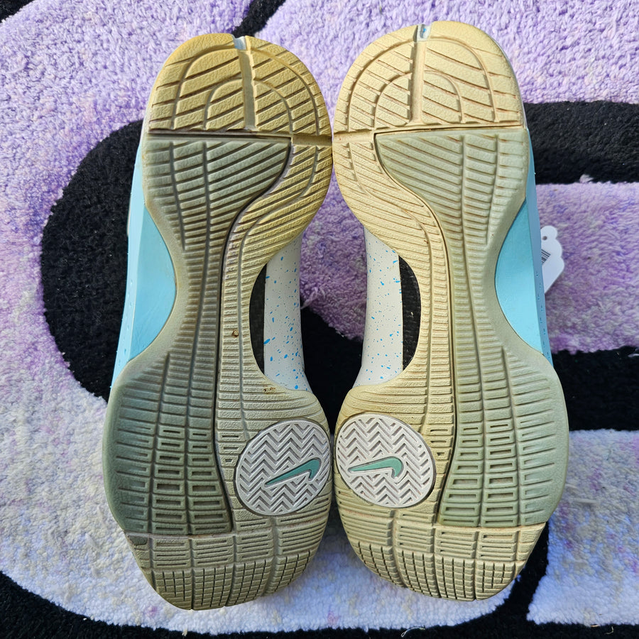 Nike Hyperdunk Supreme “Marty McFly” Size 10.5