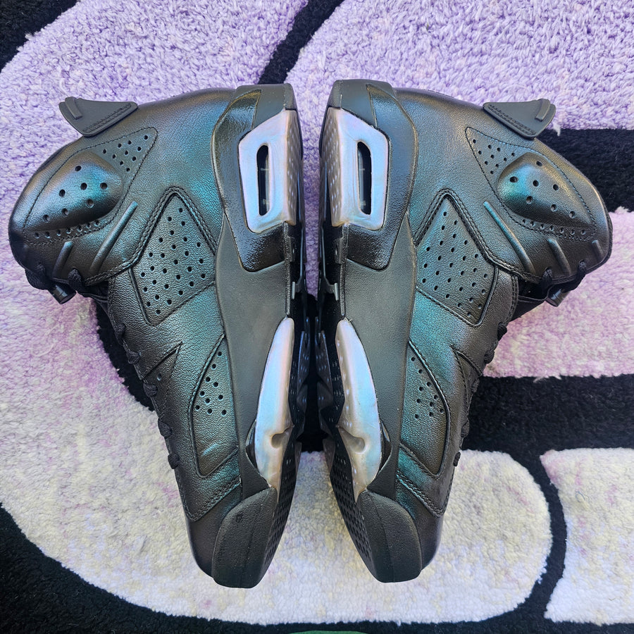 Air Jordan 6 “Chameleon”
Size 10