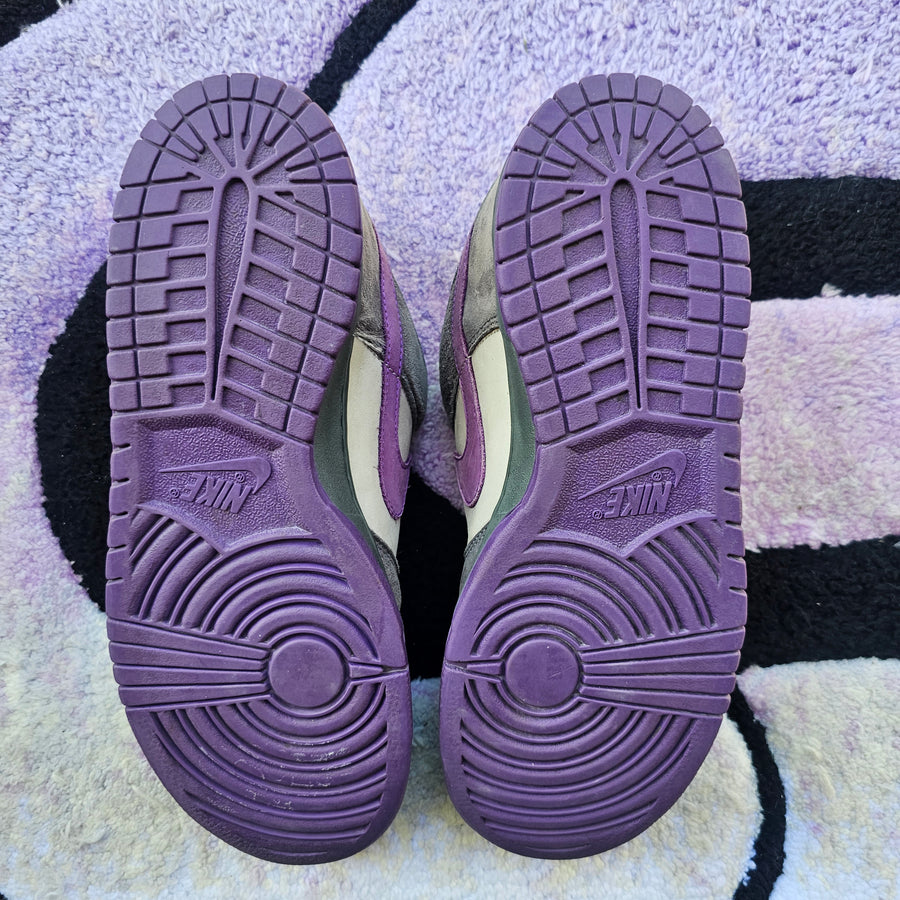 Nike Sb Low “Purple Pigeon” Size 10.5