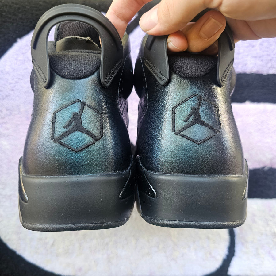 Air Jordan 6 “Chameleon”
Size 10