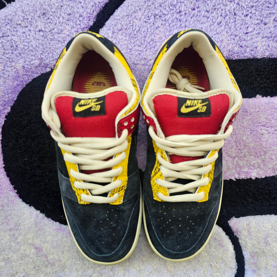 Nike Sb Low “Coral Snake” Size 9.5