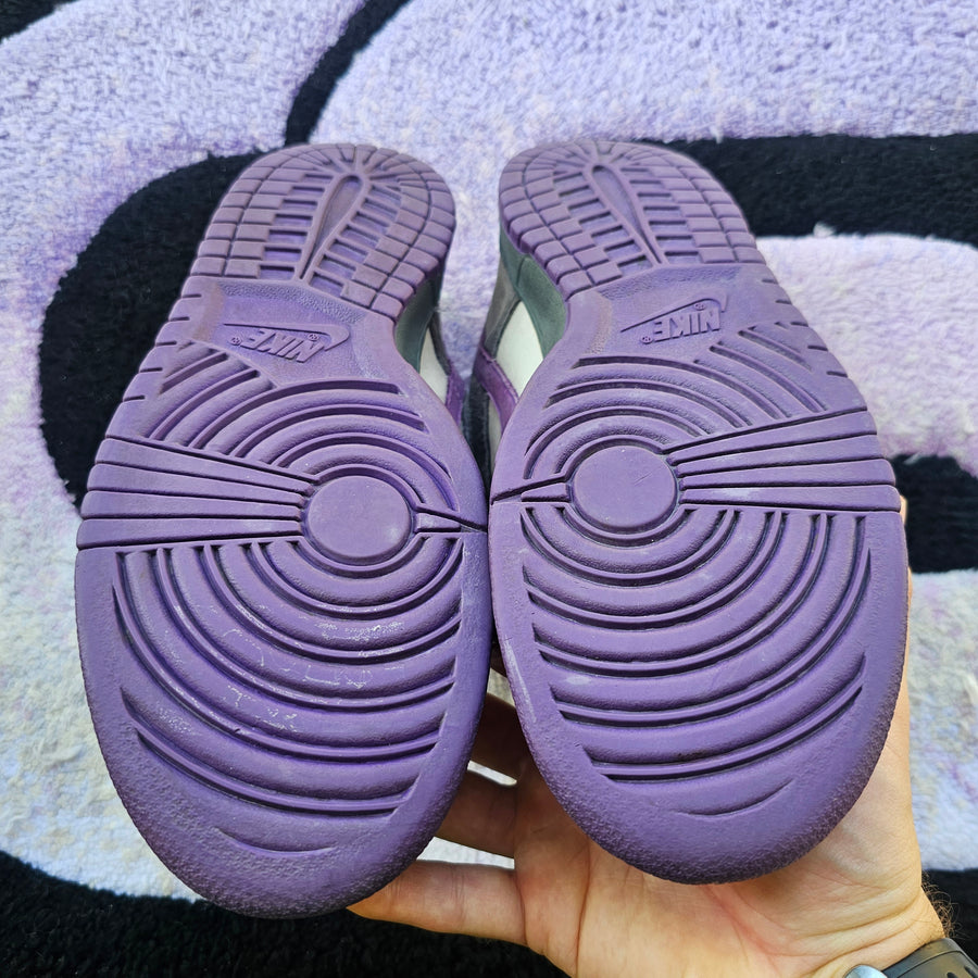 Nike Sb Low “Purple Pigeon” Size 10.5