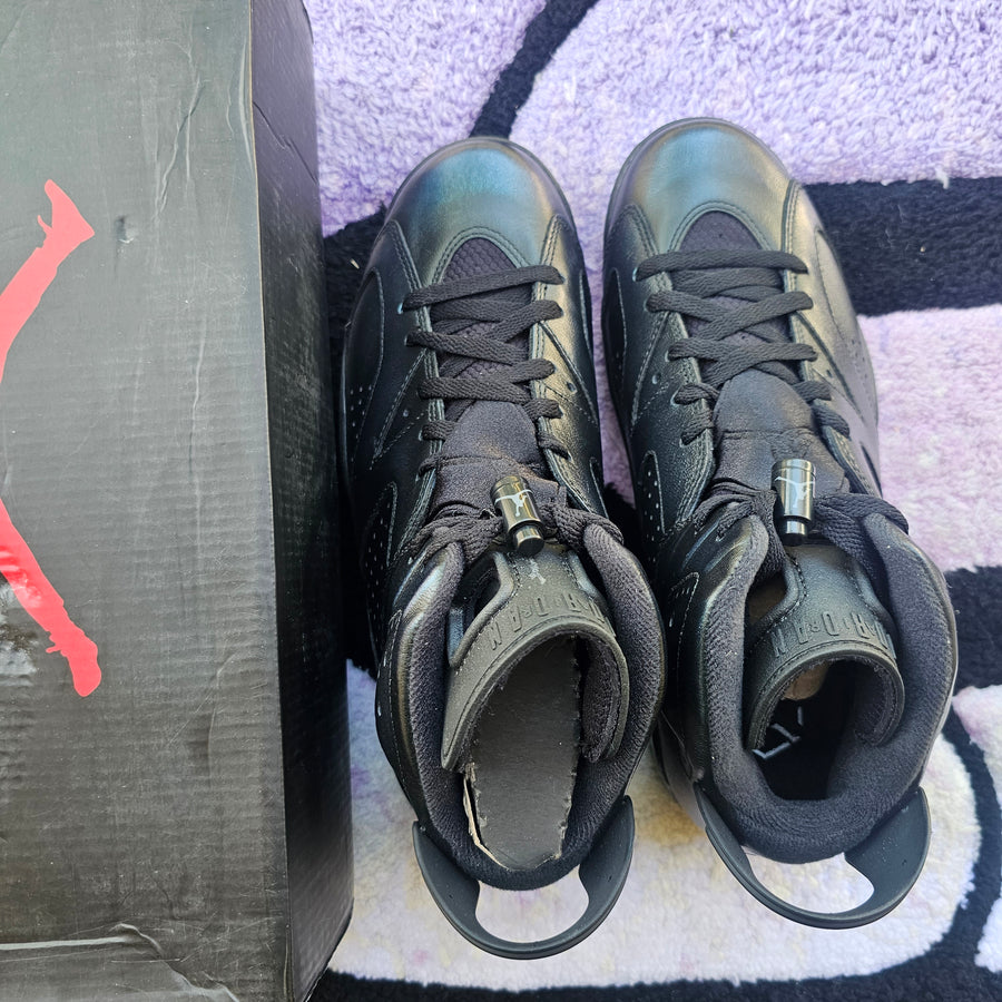 Air Jordan 6 “Chameleon”
Size 10