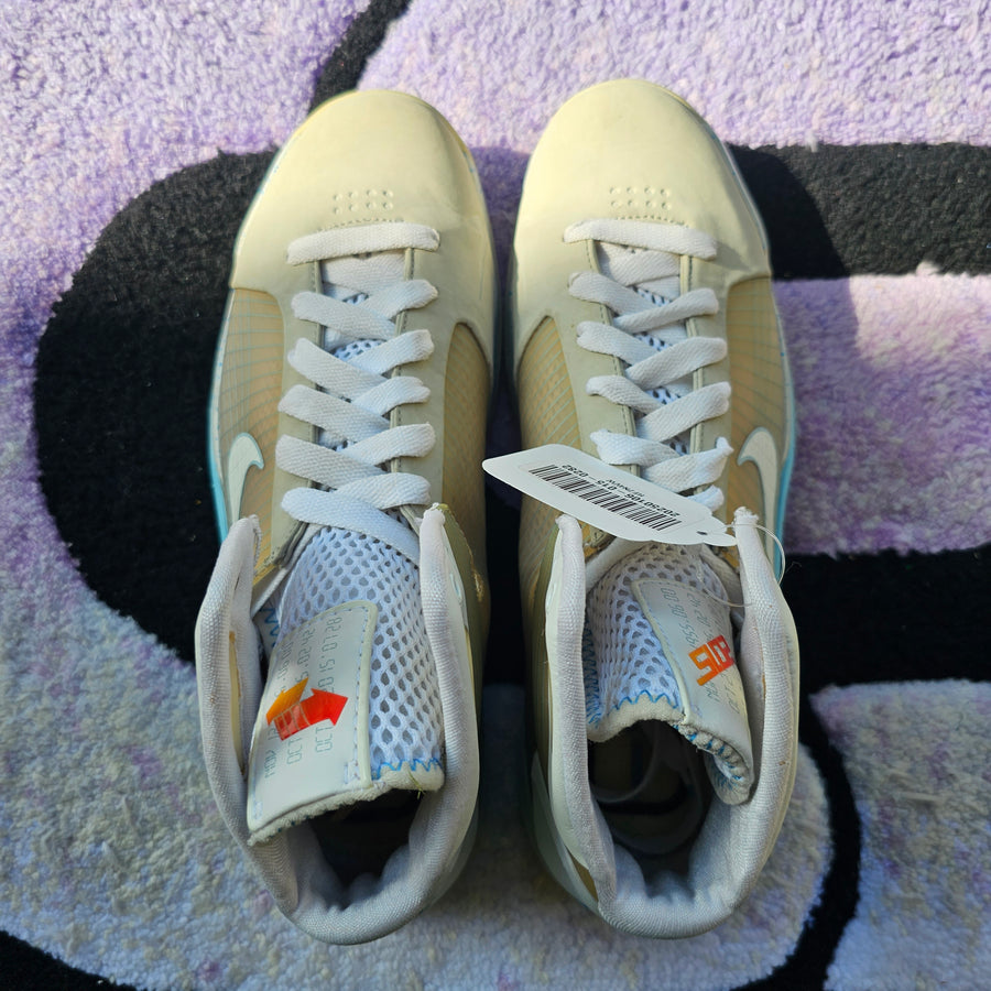 Nike Hyperdunk Supreme “Marty McFly” Size 10.5