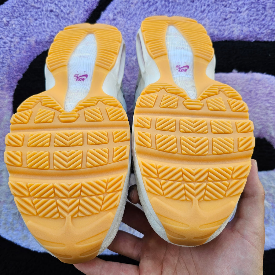 Nike AM95 SB “Cactus Flower” Size 10.5