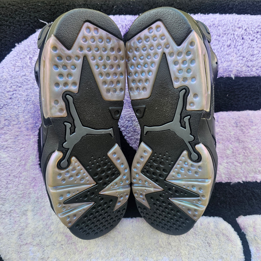 Air Jordan 6 “Chameleon”
Size 10