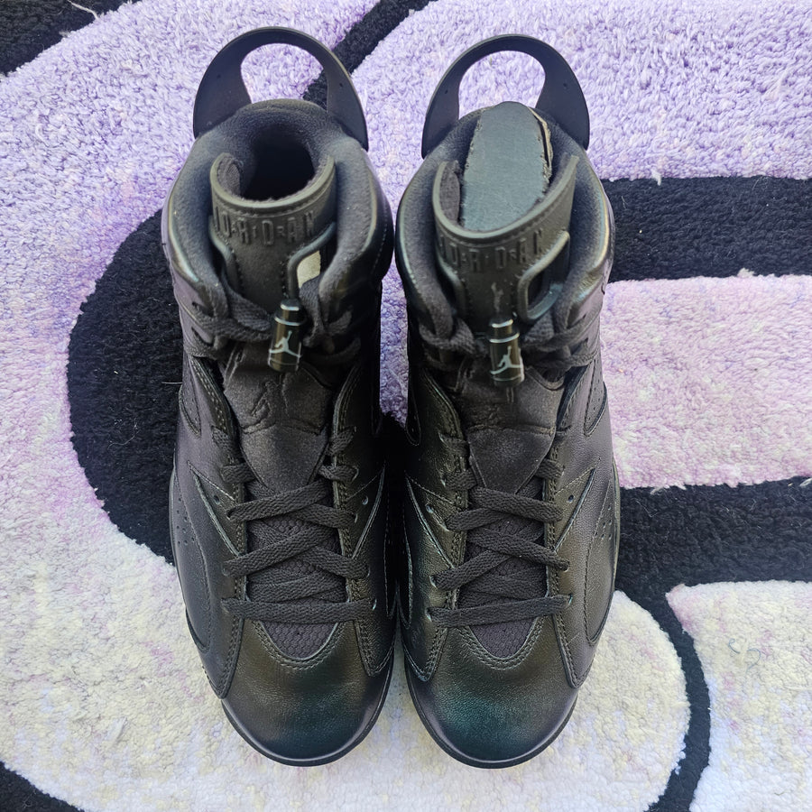 Air Jordan 6 “Chameleon”
Size 10